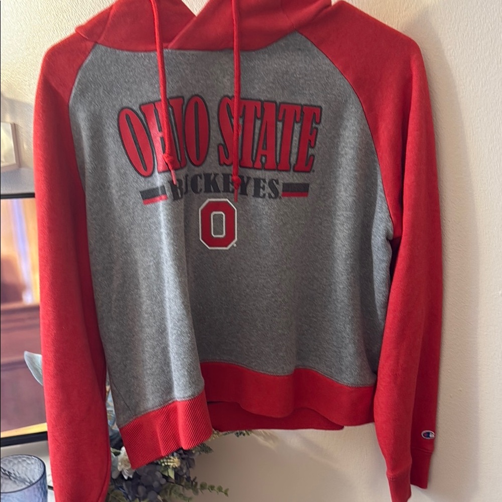 Champion Red and Gray Sweaters with Ohio State Design